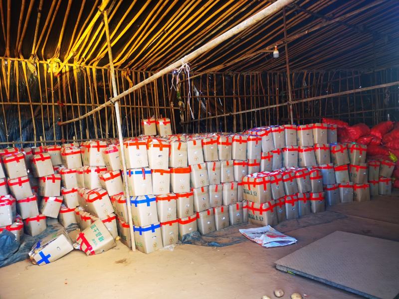 丽署6号土豆，淀粉厂加工，每天供应200吨
