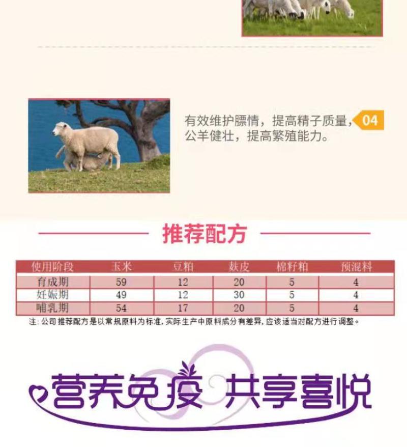 4%母羊预混料妊娠哺乳期怀孕繁殖专用饲料支持代工