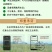 美国志信花丰高磷大中量微量元素水溶肥促开花延长花期农药5