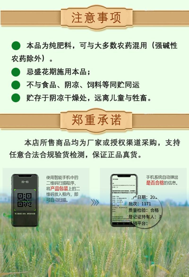 美国志信花丰高磷大中量微量元素水溶肥促开花延长花期农药5