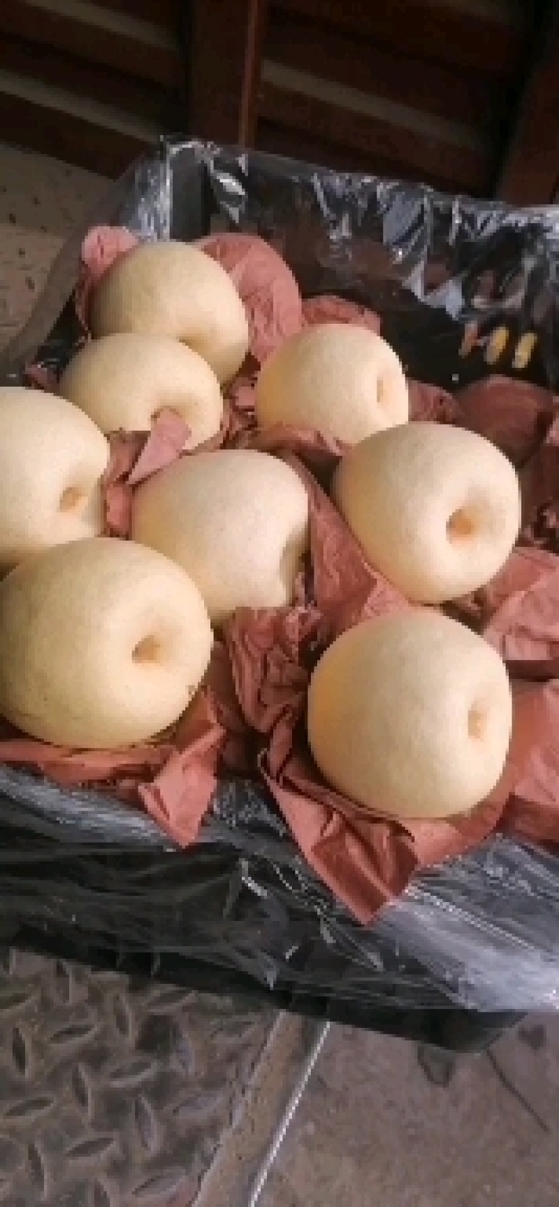 山西，文水，贡梨