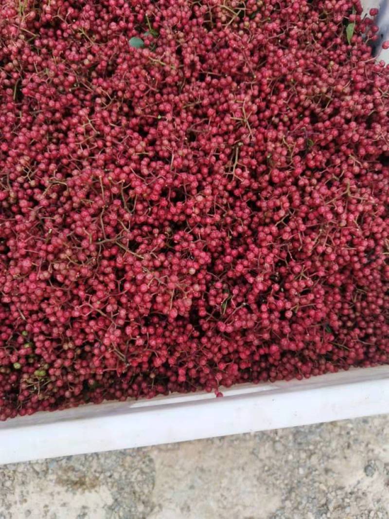 正宗汉源花椒，麻香扑鼻手工挑选，去除杂质，所见即所得