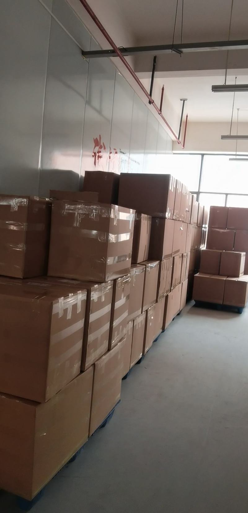 云南特产三七田七文山三七500克可以免费打粉
