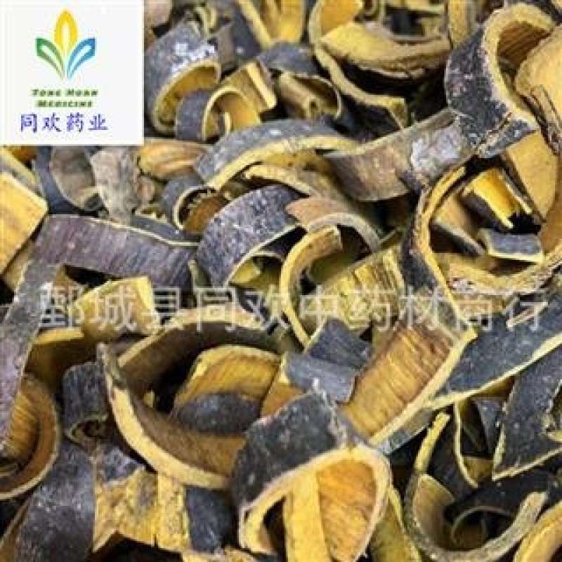 【黑皮川黄柏】@【同欢药材】中药材批发供应规格齐全