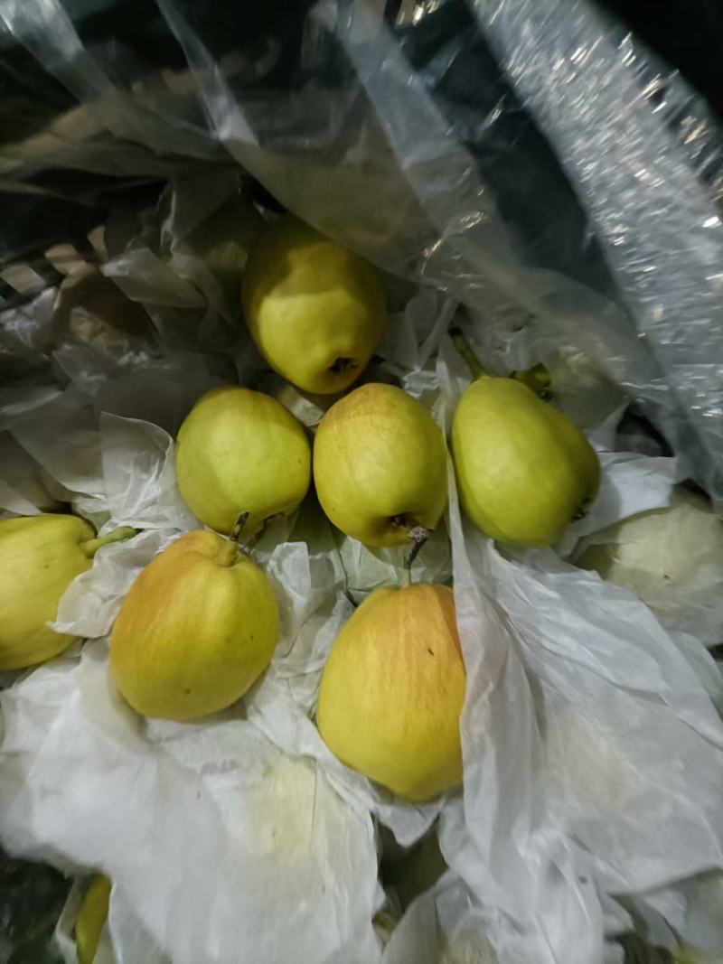 香梨礼盒，河北库尔勒香梨礼盒源头工厂，产地直发
