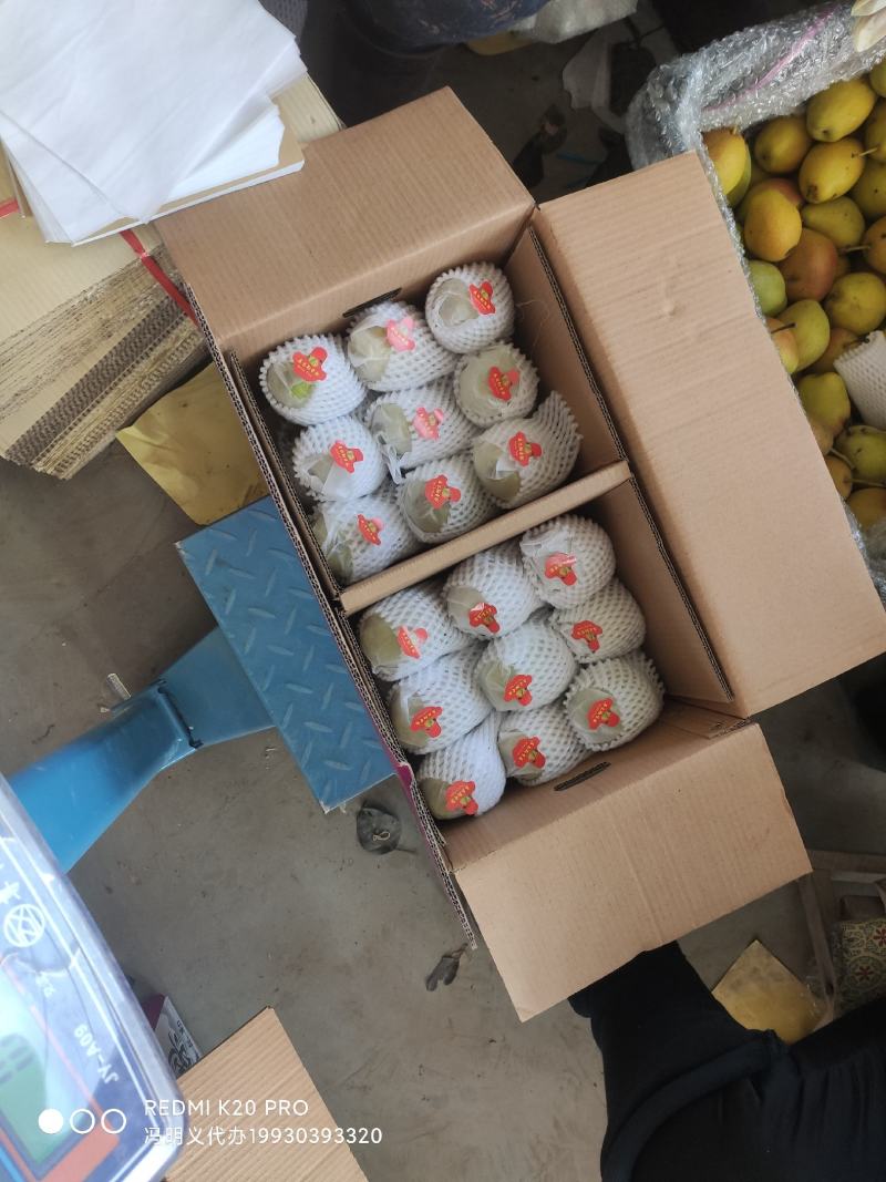 香梨礼盒，河北库尔勒香梨礼盒源头工厂，产地直发