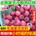 【顺丰】西红柿现摘现发沙瓤番茄毛粉柿子新鲜水果生吃自然熟