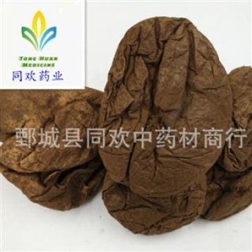 【马勃白马勃】@【同欢药材】中药材批发供应规格齐全