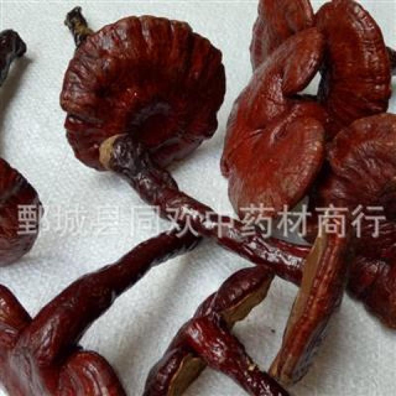 【木灵芝个】@【同欢药材】中药材批发供应规格齐全