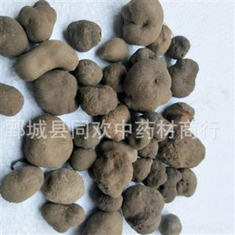 【雷丸】@【同欢药材】中药材批发供应规格齐全