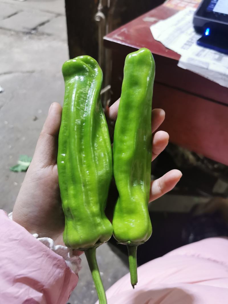 【精选】薄皮椒广东青椒，产地直发，量大从优，欢迎选购