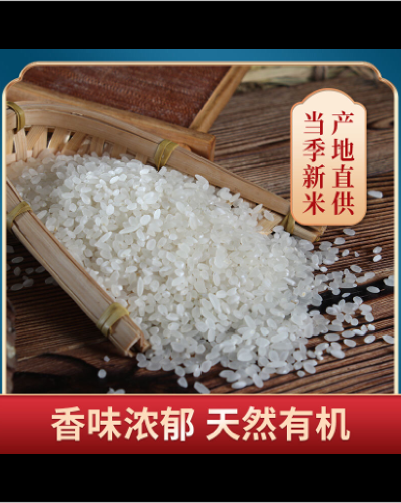 新米东北农家自产大米黑龙江长粒香大米批发新米农家现磨包邮