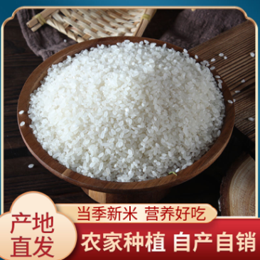 新米东北农家自产大米黑龙江长粒香大米批发新米农家现磨包邮
