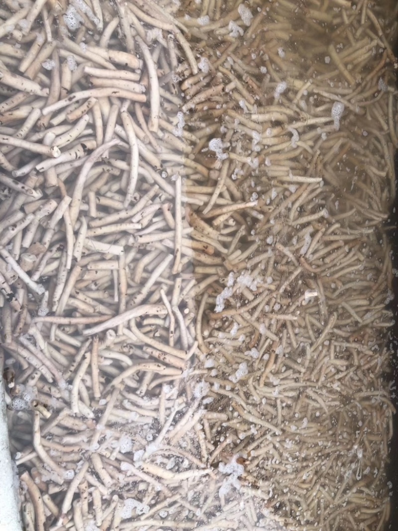 白勺，白勺片，精品，统货，无硫货药典标准规格