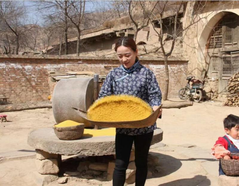 陕北米脂县山地羊粪种植黄小米，纯绿色天然食品