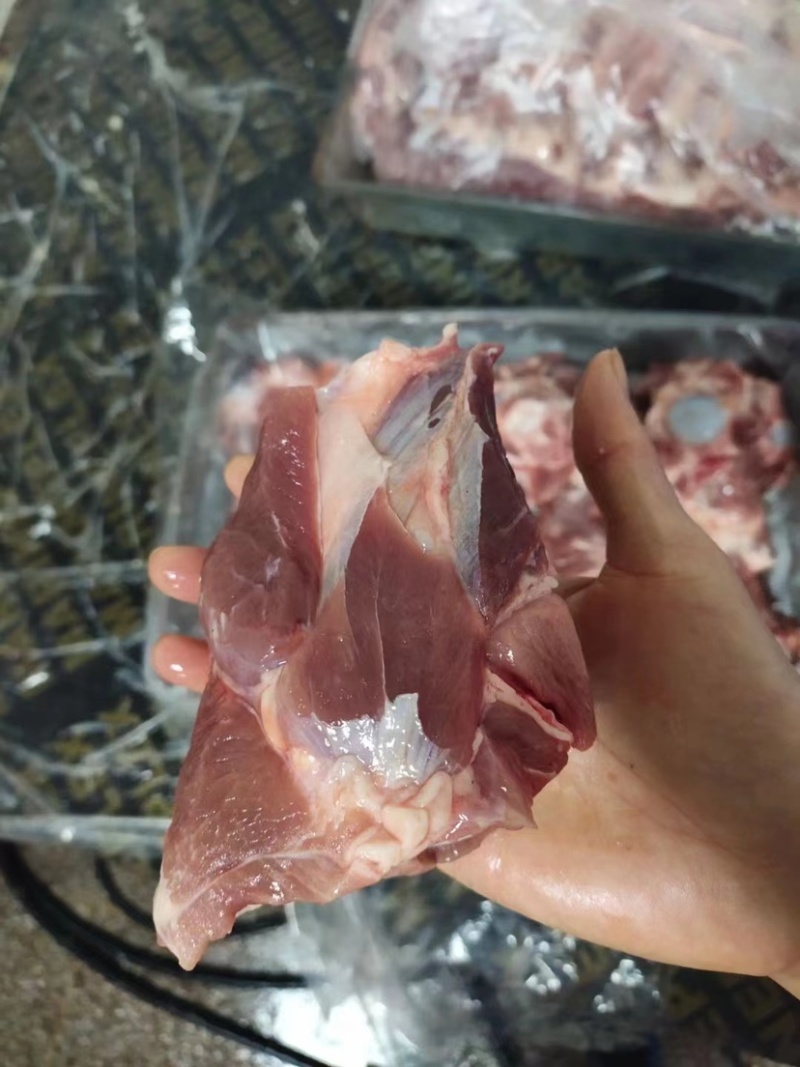 精品猪前腿骨厂家直销品质保证量大从优欢迎下单选购