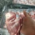 精品猪前腿骨厂家直销品质保证量大从优欢迎下单选购