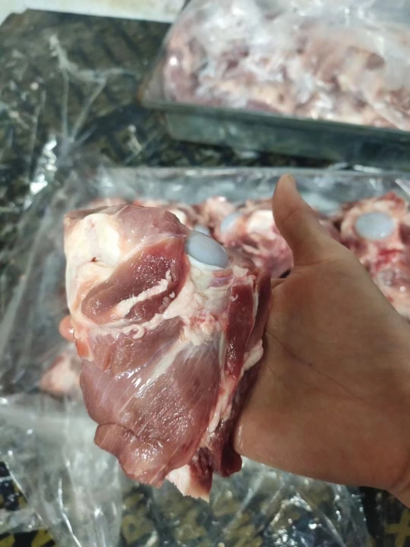 精品猪前腿骨厂家直销品质保证量大从优欢迎下单选购