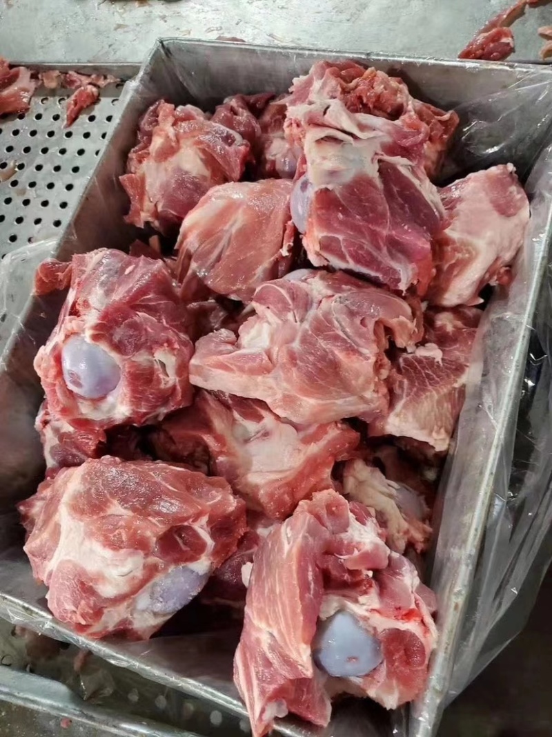 精品猪前腿骨厂家直销品质保证量大从优欢迎下单选购