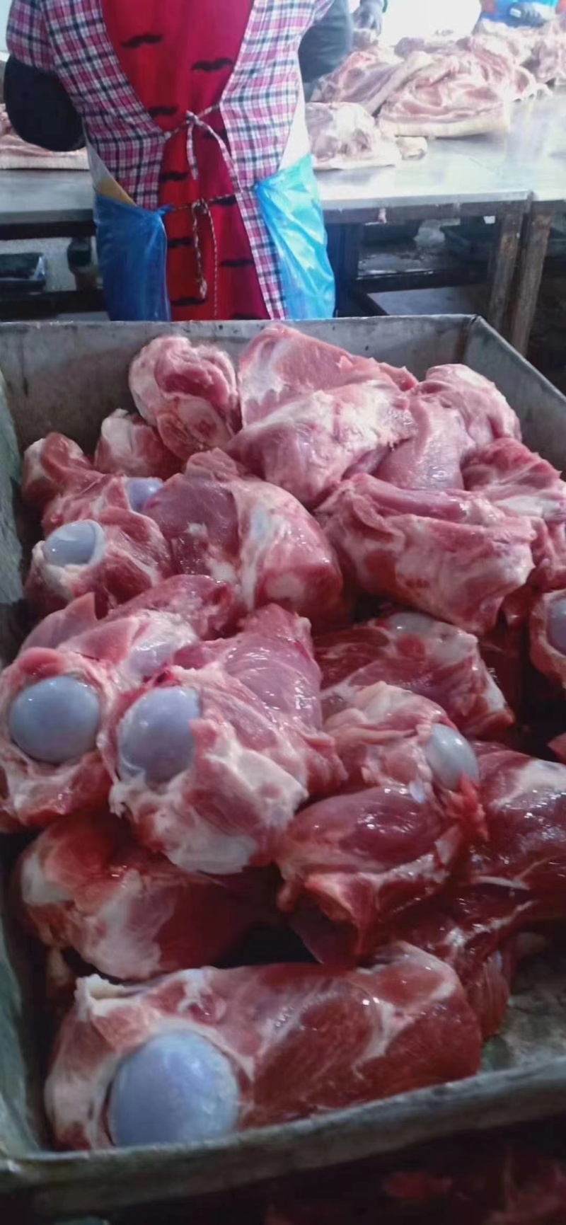 精品猪前腿骨厂家直销品质保证量大从优欢迎下单选购