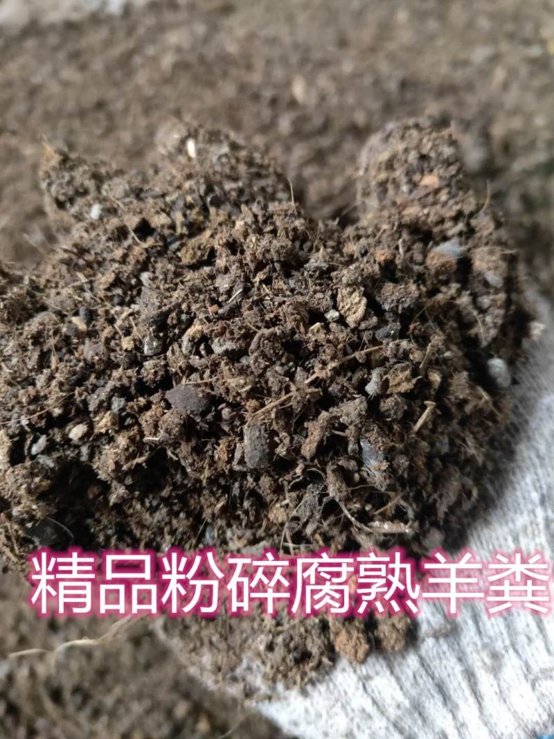 山东东营发酵纯羊粪禽畜粪便产地直发货量充足量大从优