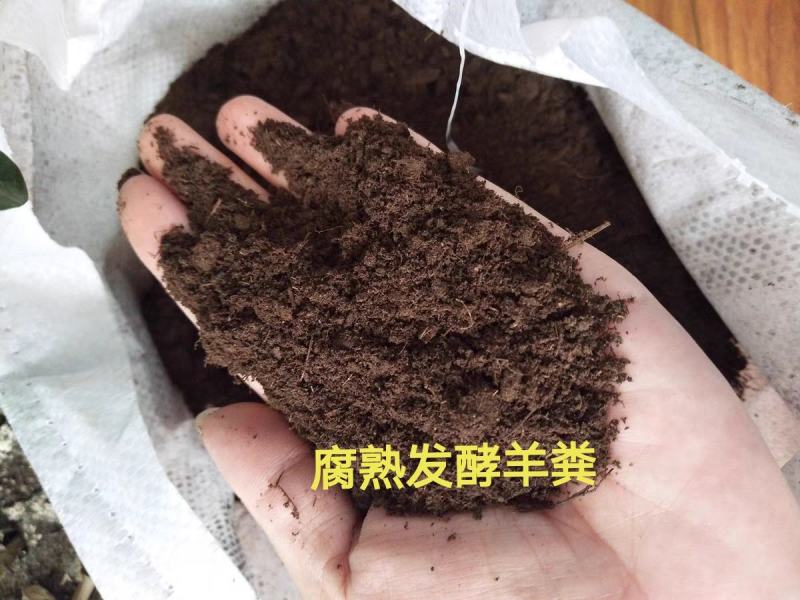 山东东营发酵纯羊粪禽畜粪便产地直发货量充足量大从优