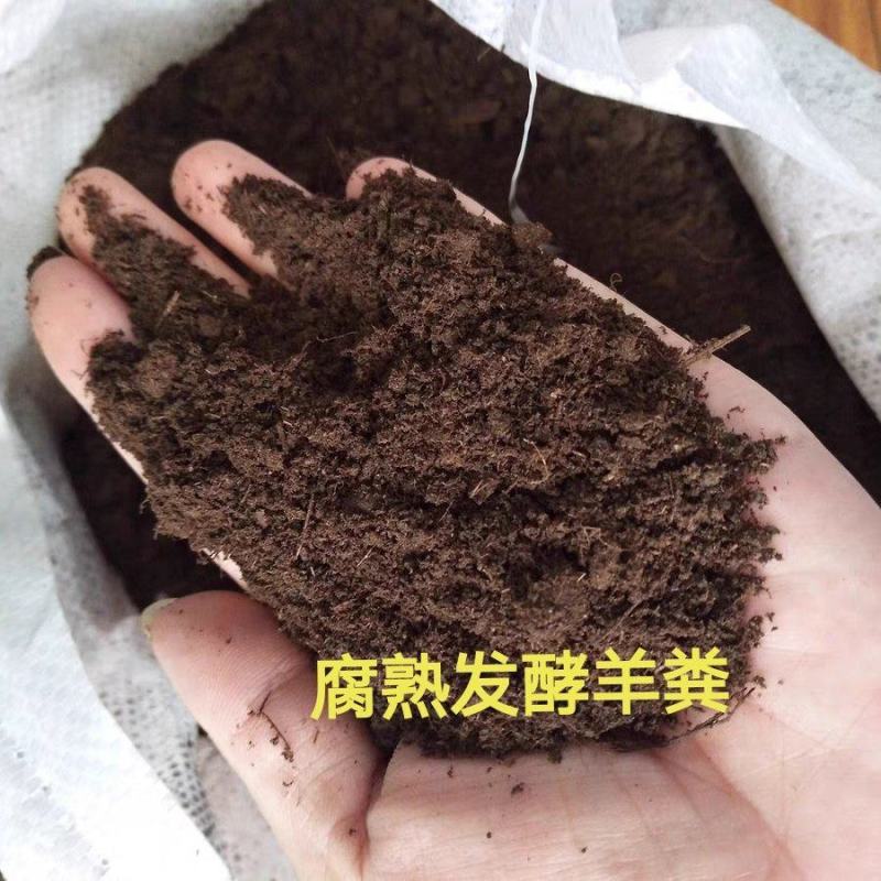 山东东营发酵纯羊粪禽畜粪便产地直发货量充足量大从优