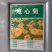 堆心菊花卉种子庭院花海花院护坡打造阳台盆栽耐寒耐热宿根多
