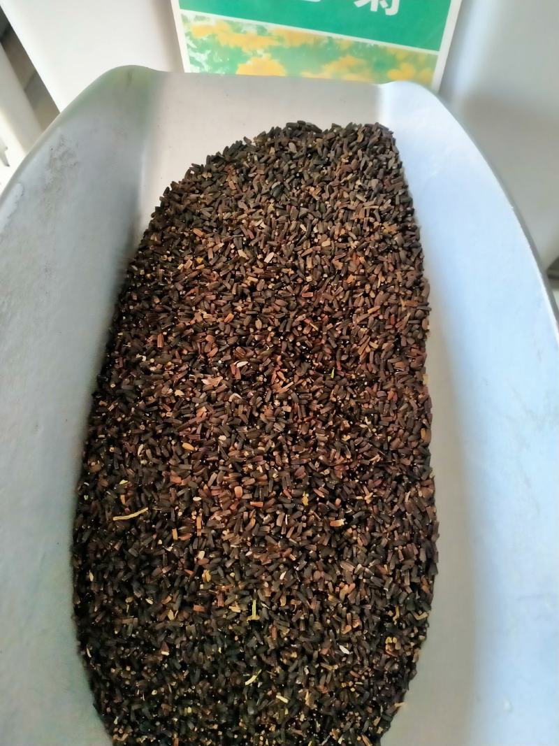 堆心菊花卉种子庭院花海花院护坡打造阳台盆栽耐寒耐热宿根多