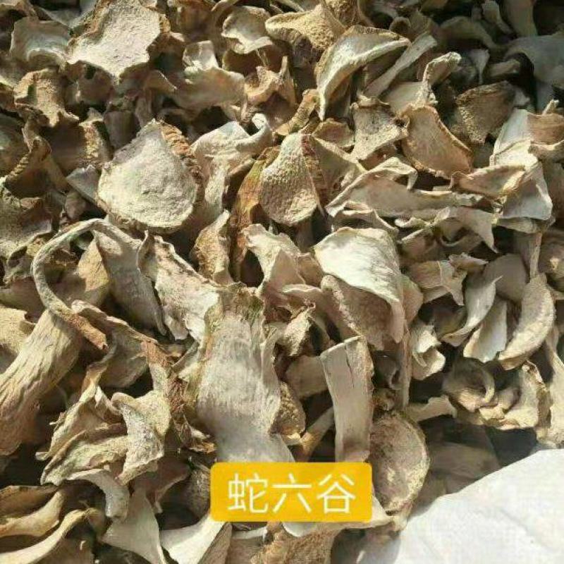 蛇六谷干货中药材干净无杂质量大从优