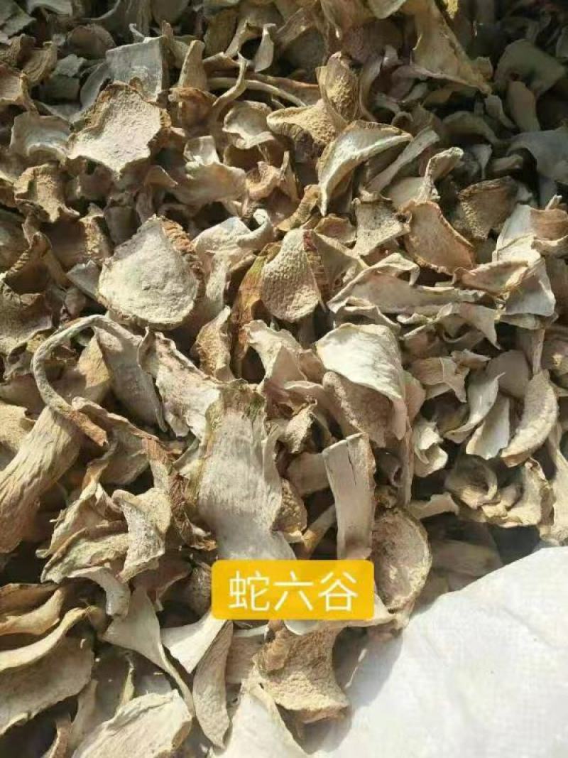 蛇六谷干货中药材干净无杂质量大从优