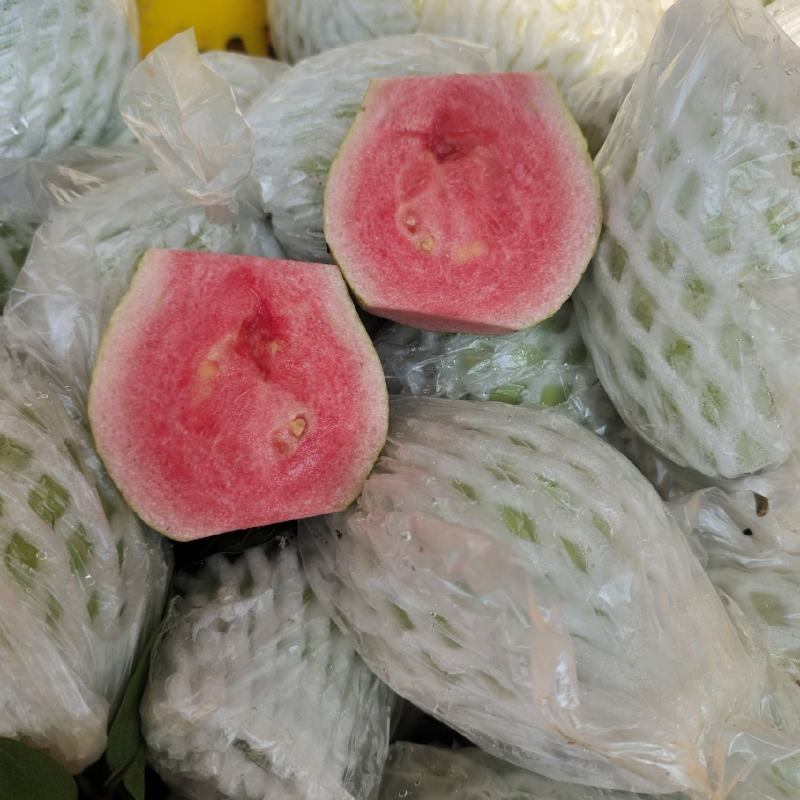 红心珍珠芭乐，产地直接发货，当天摘，当天发货。