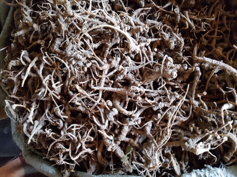 藁本，自然晒干纯根不带叶，无杂质，干货按需求打包