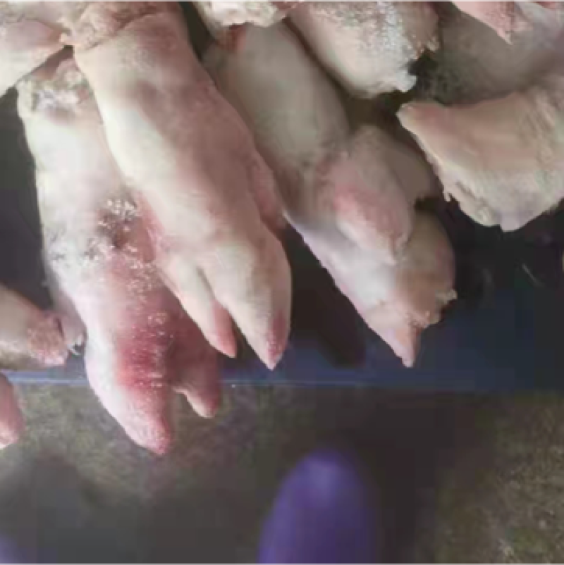 母猪一二级带筋混装猪蹄