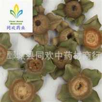 【柿蒂】@【同欢药材】中药材批发供应规格齐全