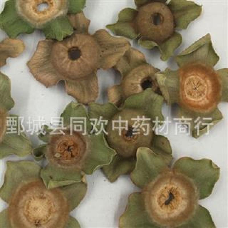 【柿蒂】@【同欢药材】中药材批发供应规格齐全