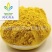 【天然整颗打粉蒲黄粉】@【同欢药材】中药材批发供发
