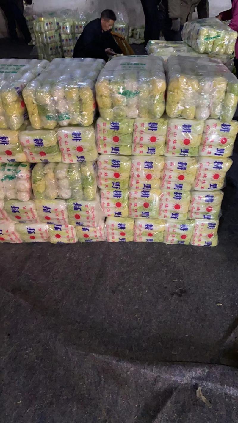 【实力推荐】湖北娃娃菜小娃娃菜，毛菜，黄度高。包装齐全