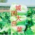 城固县：白菜（义和秋大白菜）貭量高颜色绿产地直销货源充足