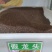 假龙头种子景观绿化花卉种子露地被植物花坛摄影背景花