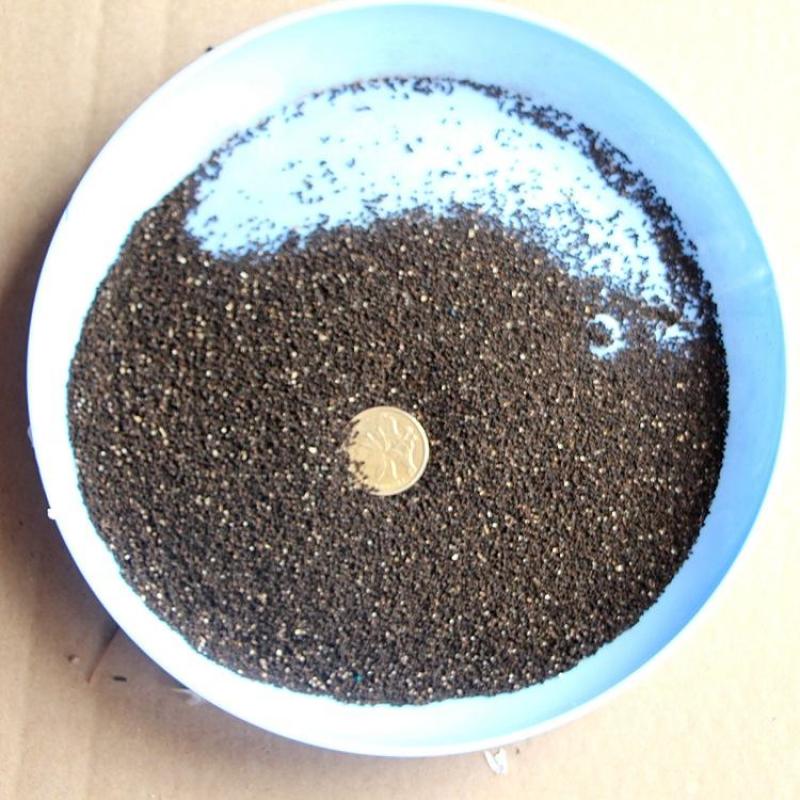 金鱼草种子四季易种花卉阳台庭院种植盆栽室内花草植物花