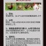 公鸡眼镜土鸡防啄打架鸡眼罩小鸡眼镜大中号带孔鸡用眼镜养鸡