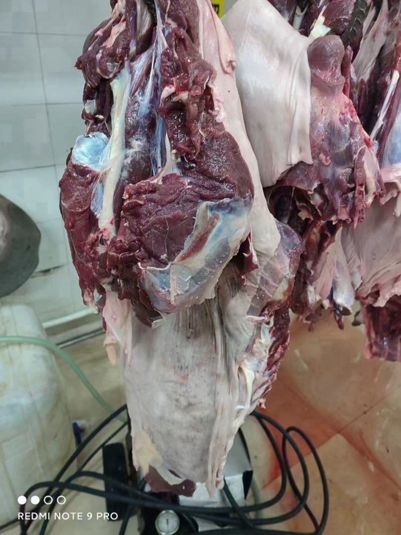 梅花鹿肉
