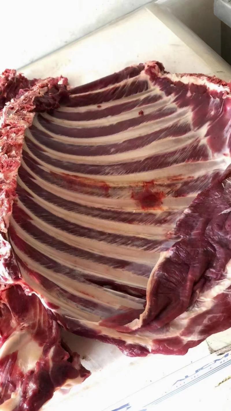 梅花鹿肉