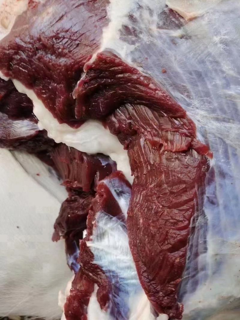 梅花鹿肉