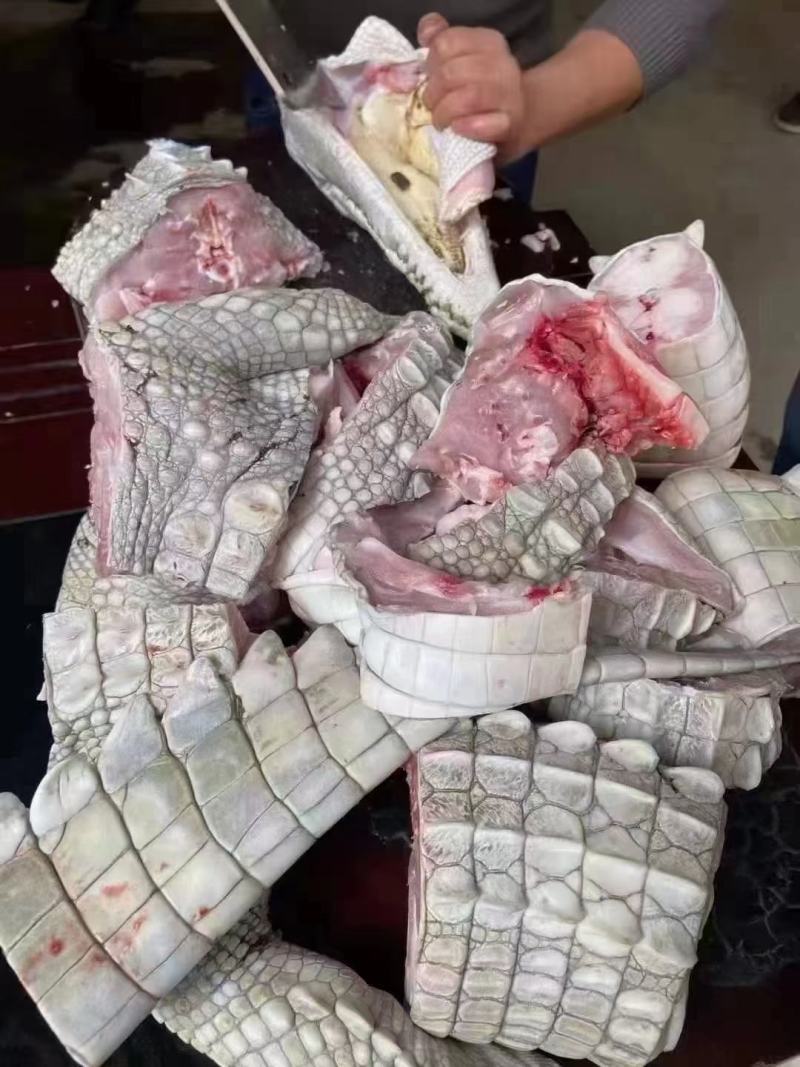 鳄鱼肉