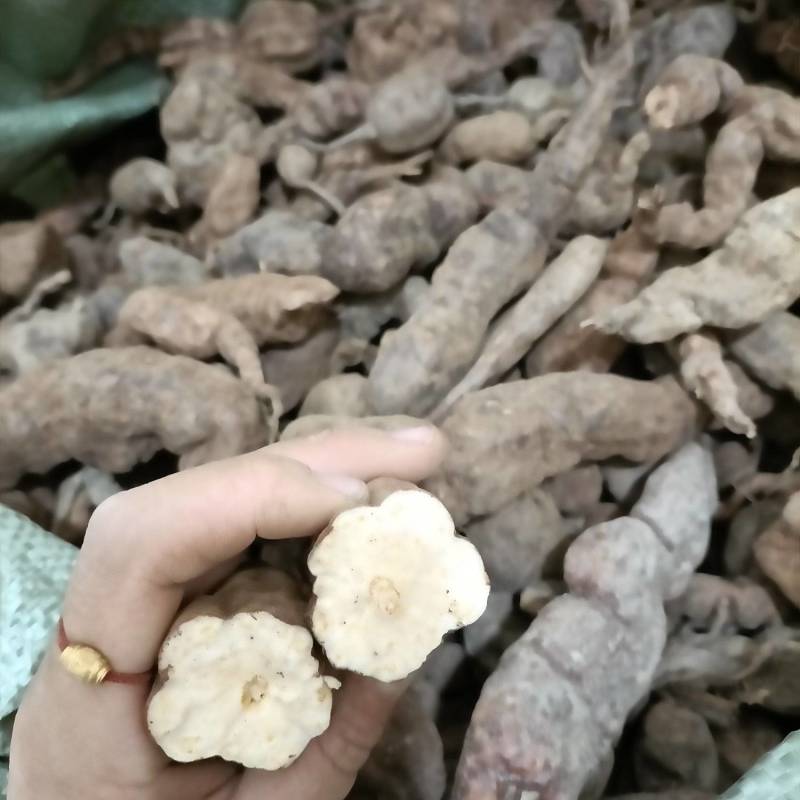 何首乌，一首货原，品质保证量大从优