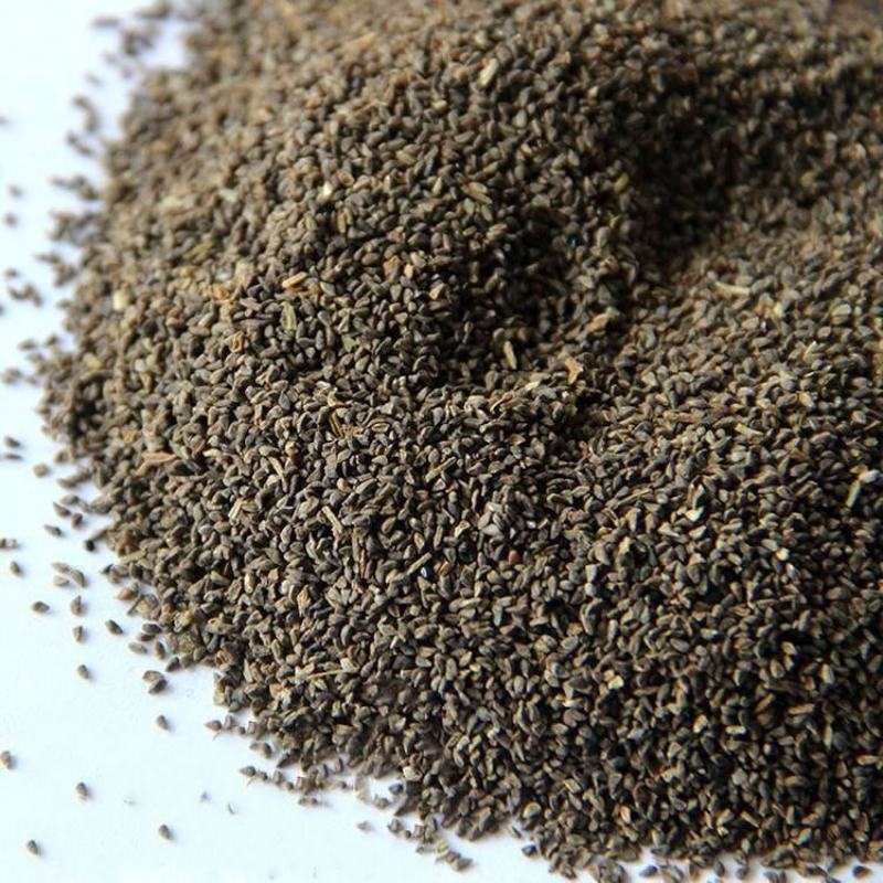 古代稀种子四季开花易播种的送春花种子阳台庭院盆栽花海绿植