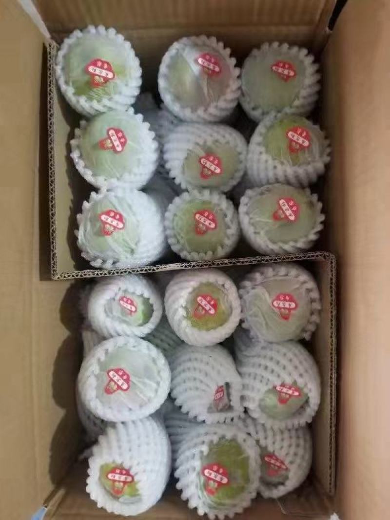 河北省石家庄市晋州市大量冷库库尔勒香梨出售中欢迎订货
