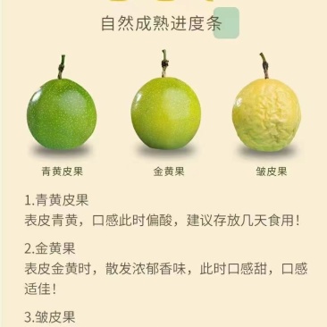 百香果